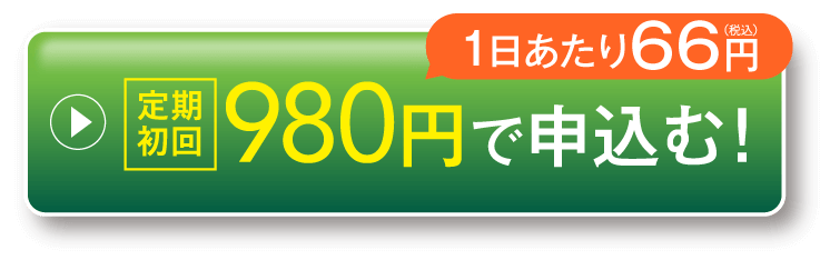 定期初回980円/箱で申込む！