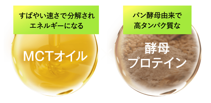 MCTオイル×酵母プロテイン