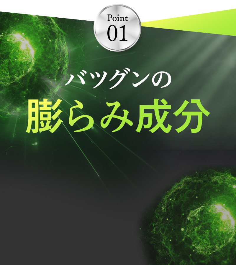 Point01 バツグンの膨らみ成分