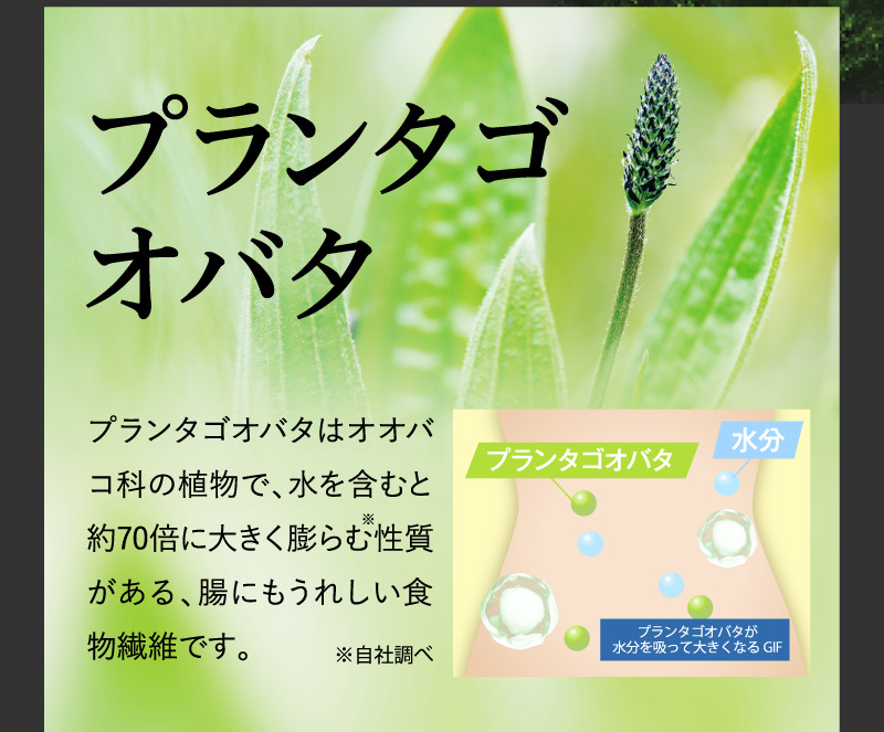 プランタゴオバタ