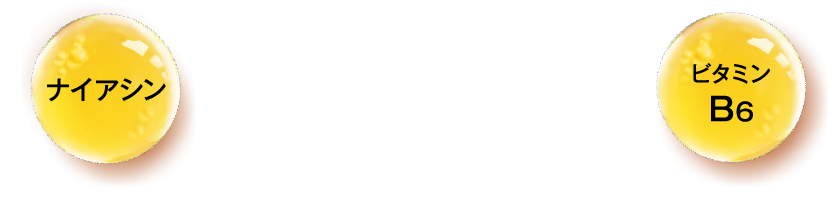 ナイアシン ビタミンB6