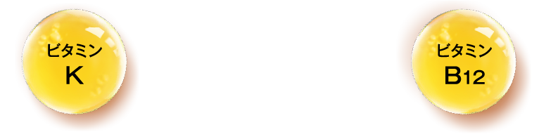 ビタミンK ビタミンB12